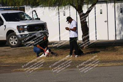 media/Nov-11-2023-GTA Finals Buttonwillow (Sat) [[117180e161]]/Around the Pits/